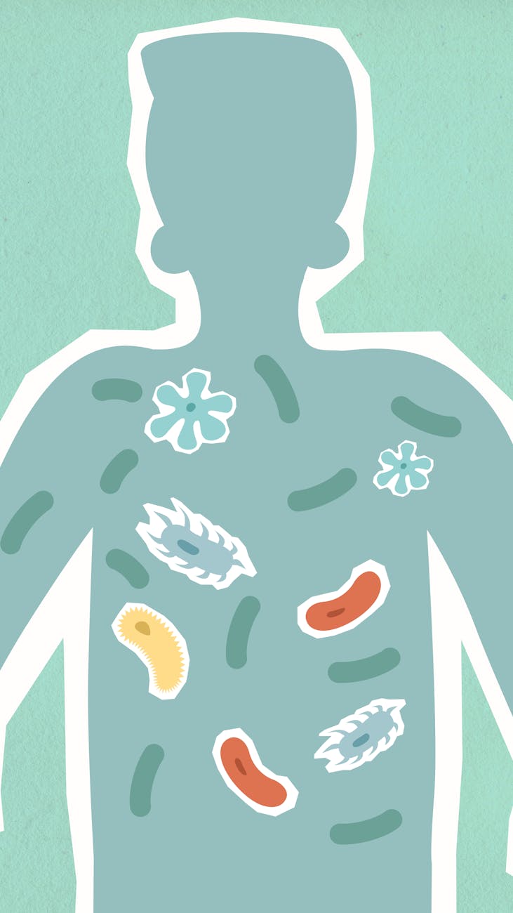 Prebiotics vs. Probiotics: Understanding the Gut Health&nbsp;Debate